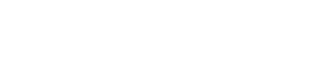 Partner Adobe Logo
