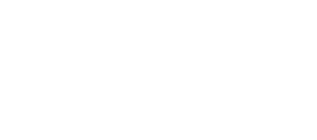 Partner Google Logo