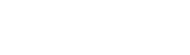 Partner Liferay Logo