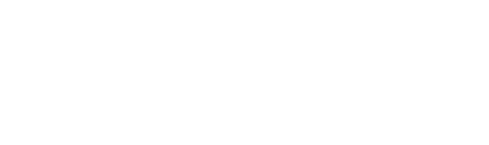 Partner TikTok Logo